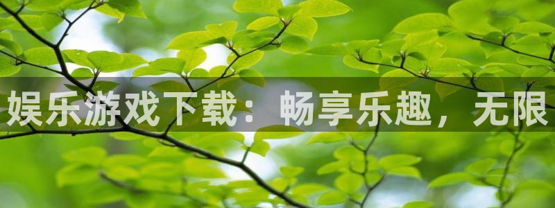 长运平台是什么：娱乐游戏下载：畅享乐趣，无限