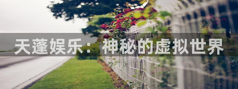 长运平台能源：天蓬娱乐：神秘的虚拟世界