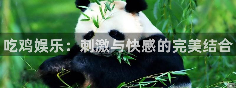 长运平台平台最新版本下载：吃鸡娱乐：刺激与快感的完美结合