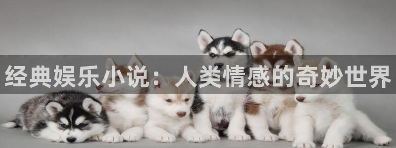 长运平台体育app下载：经典娱乐小说：人类情感的奇妙世界