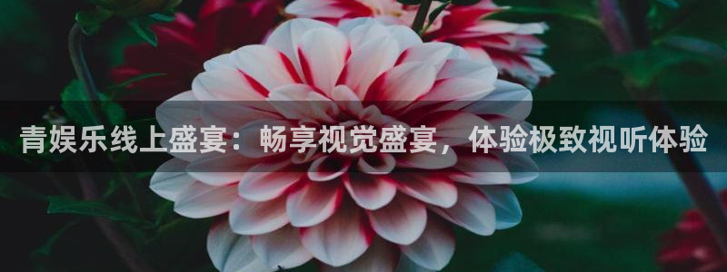 长运平台放水时间：青娱乐线上盛宴：畅享视觉盛宴，体验极致视听体验
