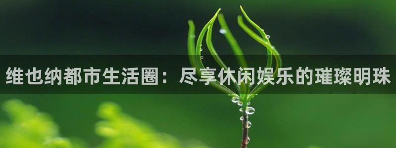 长运平台注册：维也纳都市生活圈：尽享休闲娱乐的璀璨明珠