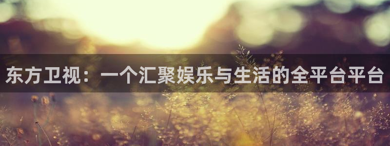 长运平台下载二维码：东方卫视：一个汇聚娱乐与生活的全平台平台
