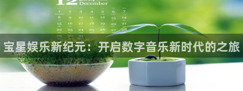 长运平台平台在线注册：宝星娱乐新纪元：开启数字音乐新时代的之旅