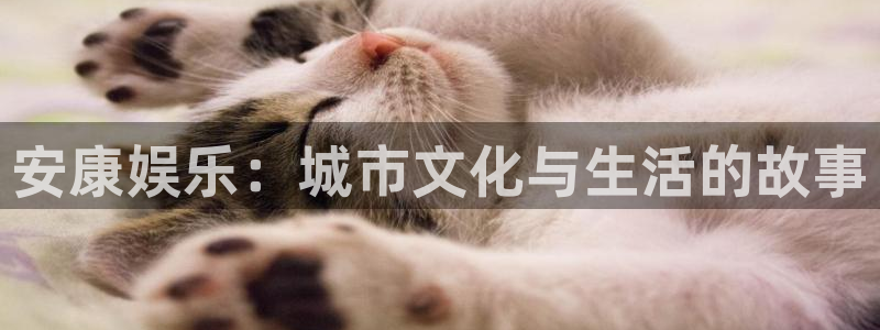 长运平台注册网站：安康娱乐：城市文化与生活的故事
