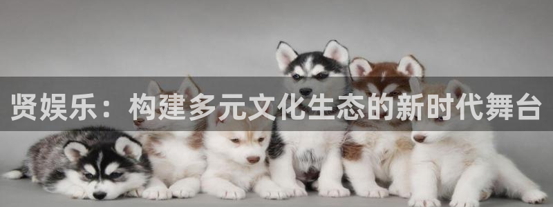 长运平台下载链接是多少：贤娱乐：构建多元文化生态的新时代舞台