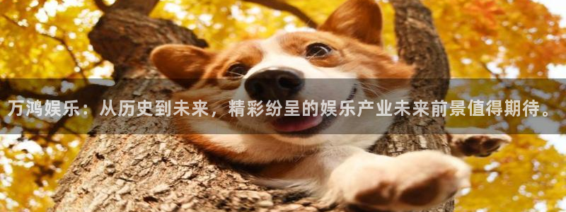 长运平台.ccm苹果版：万鸿娱乐：从历史到未来，精彩纷呈的娱乐产业未来前景值得期待。